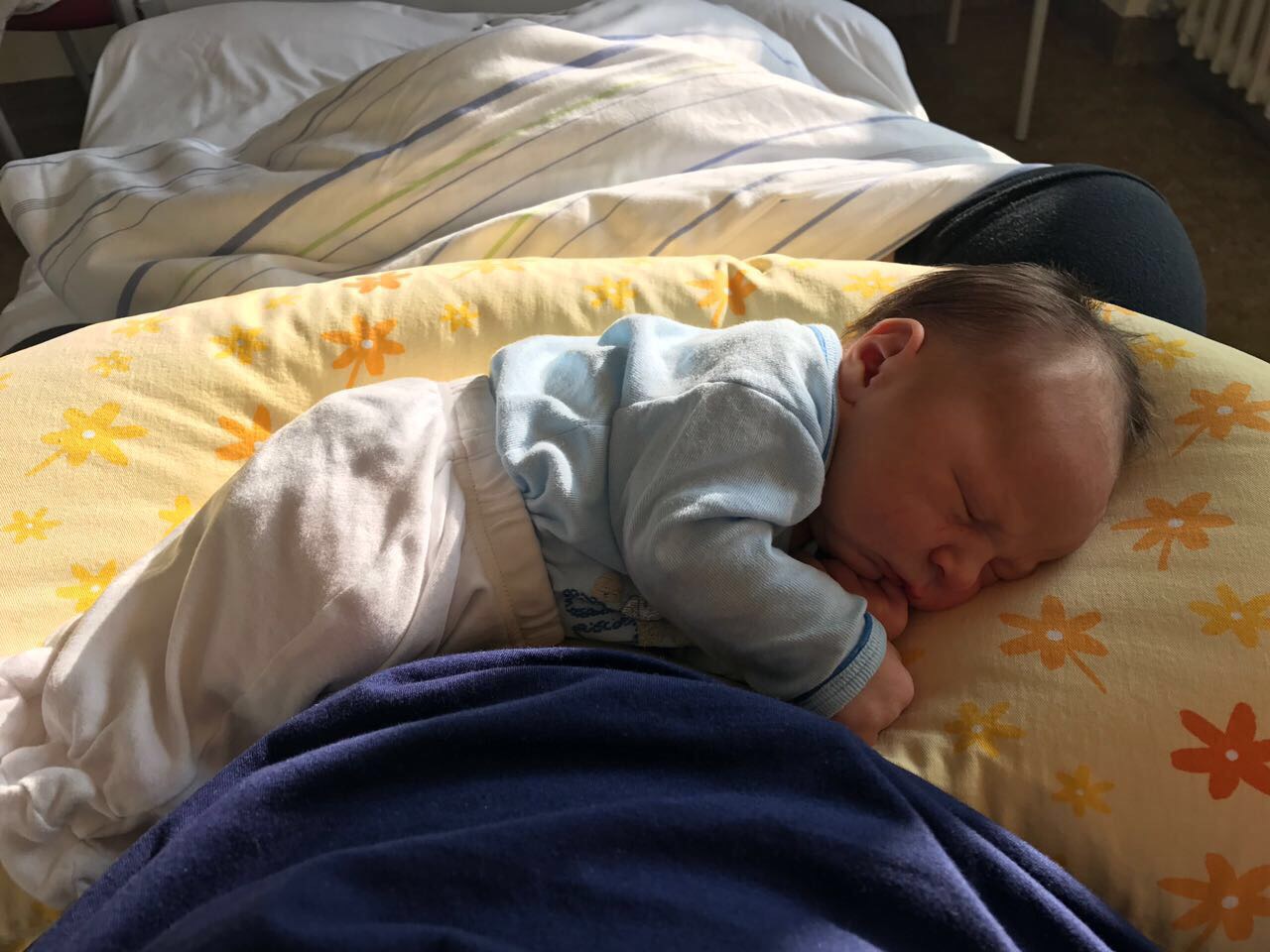 2017 daser maximilian
